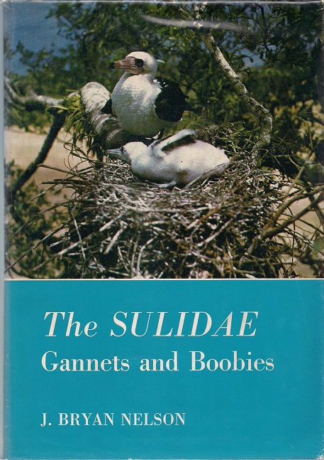 Image for The Sulidae: Gannets and Boobies (Aberdeen University studies series)