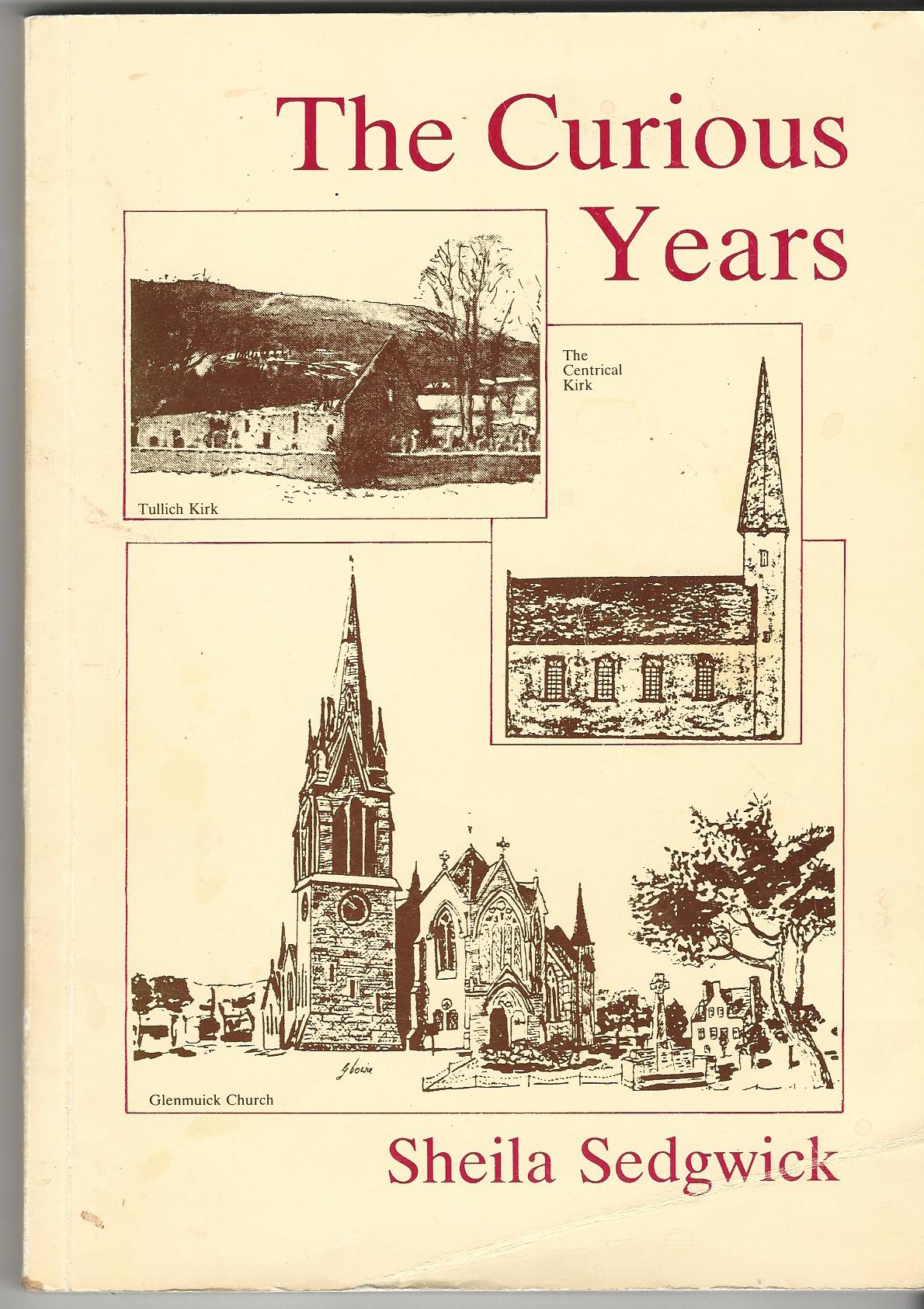 Image for The Curious Years.