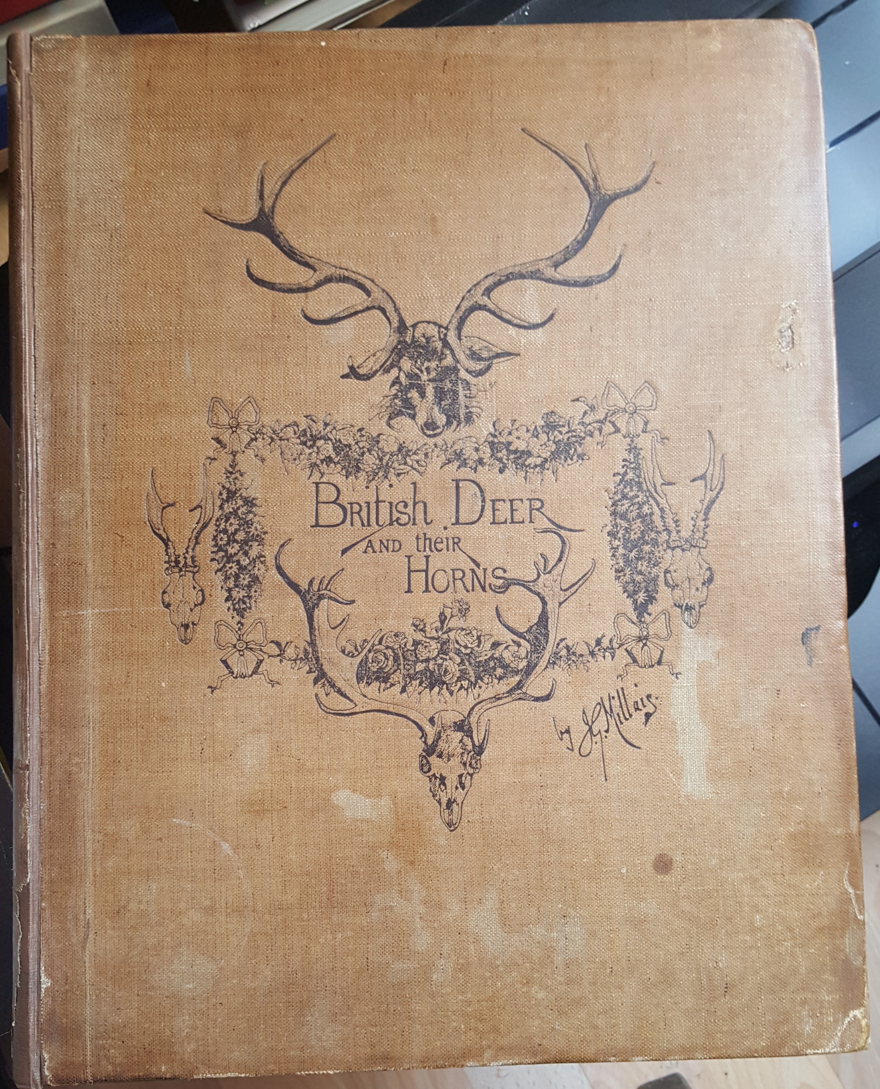 Image for British Deer And Their Horns.