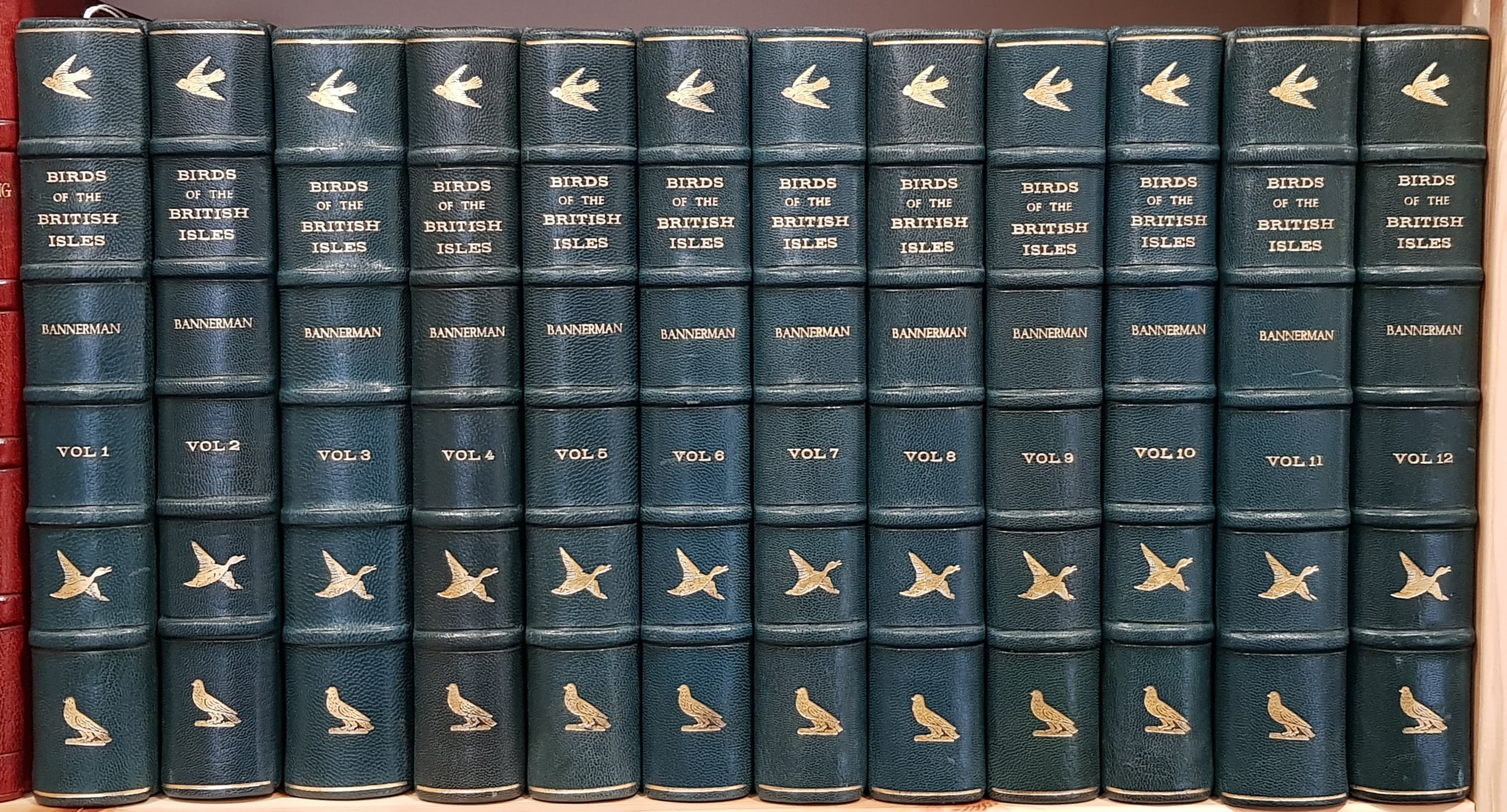 Image for The Birds of the British Isles.