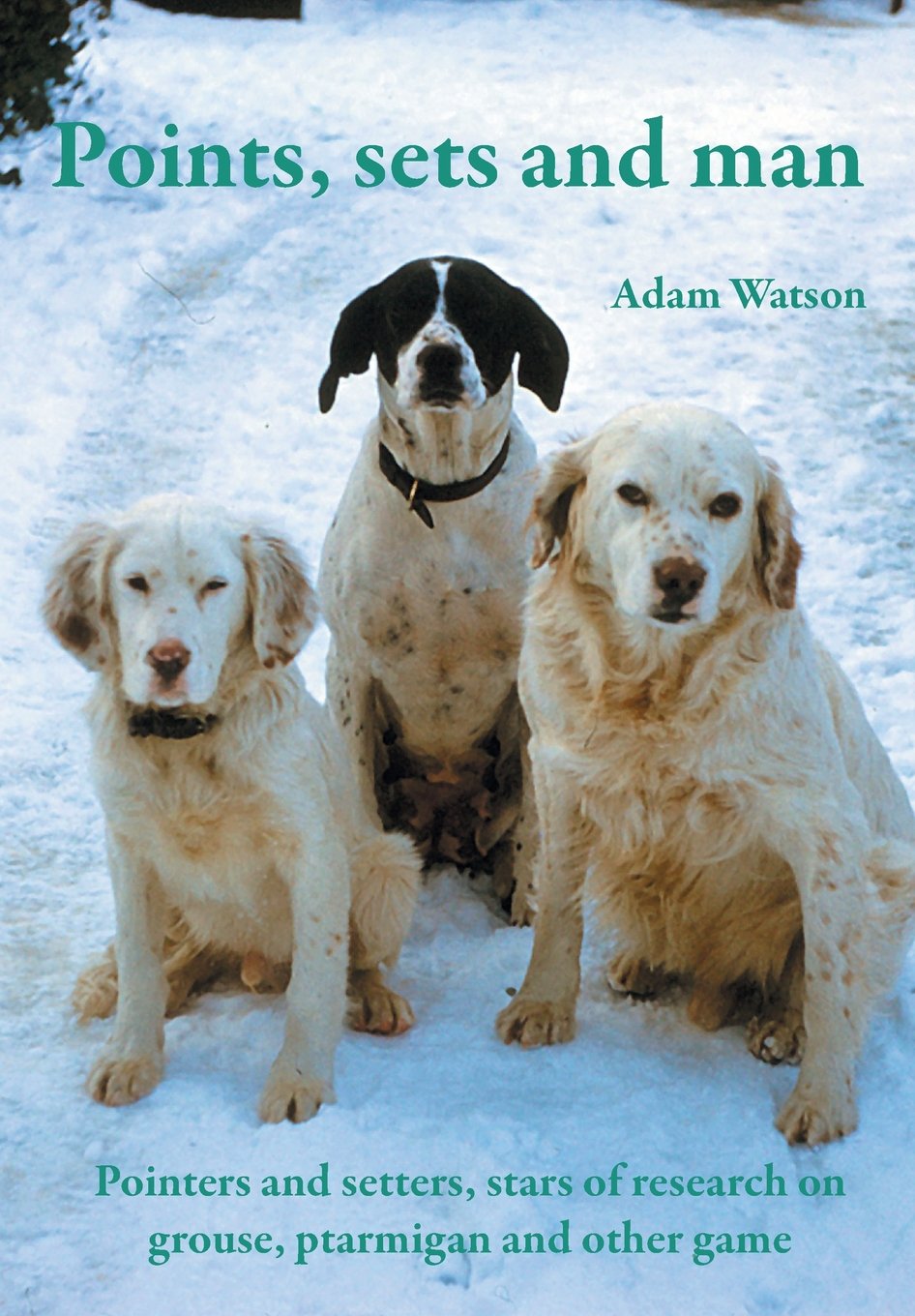 Image for Points, Sets and Man: Pointers and Setters, Stars of Research on Grouse, Ptarmigan and other game.