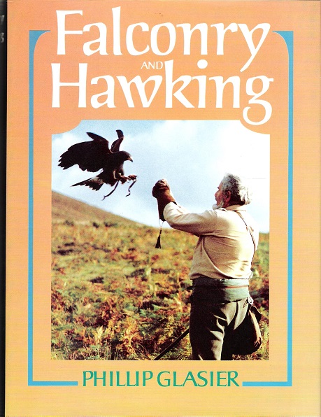 Image for Falconry and Hawking