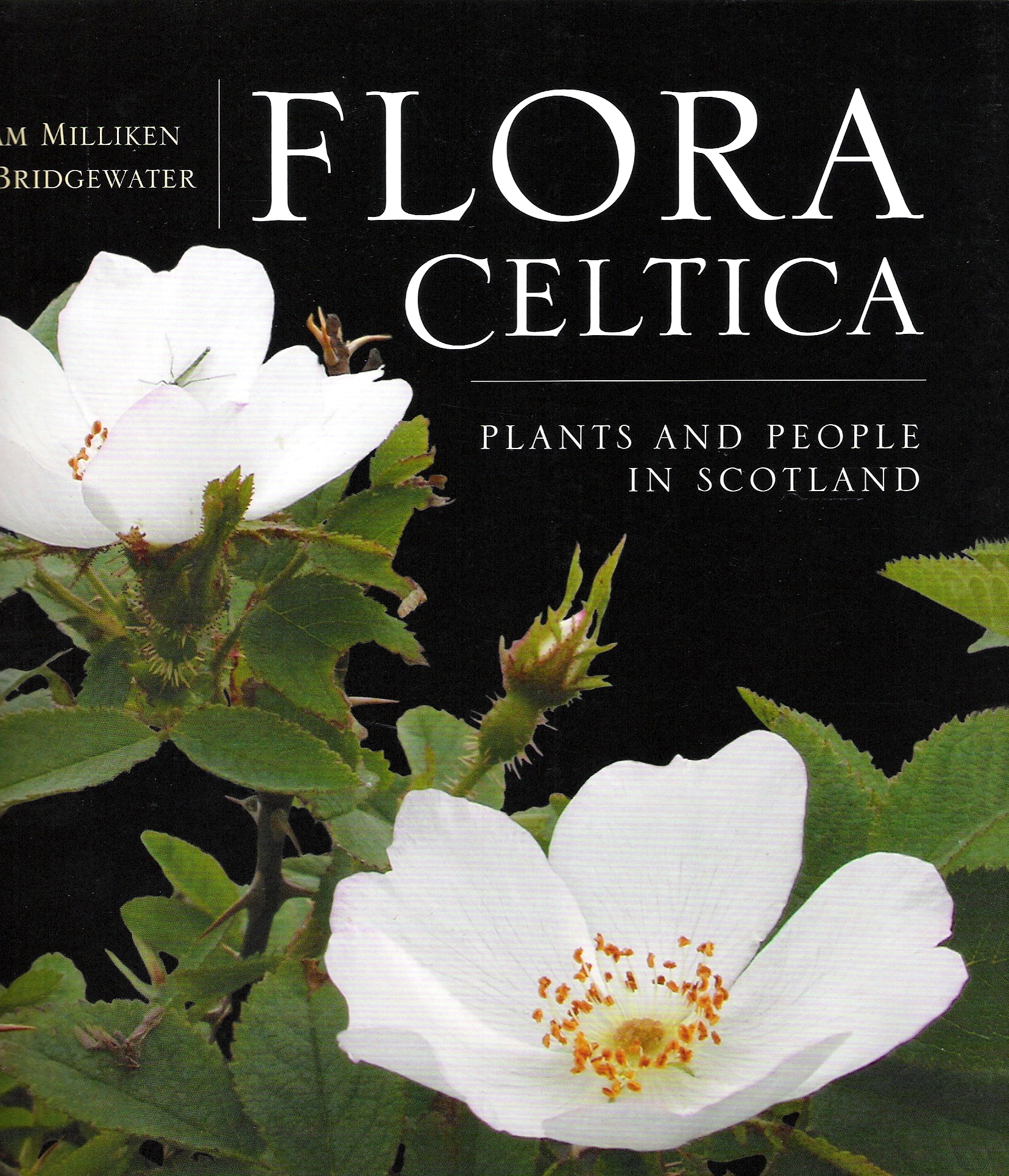 Image for Flora Celtica: Plants and People in Scotland.