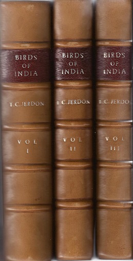 Image for The Birds of India being a Natural History of all the Birds Known to Inhabit Continental India.