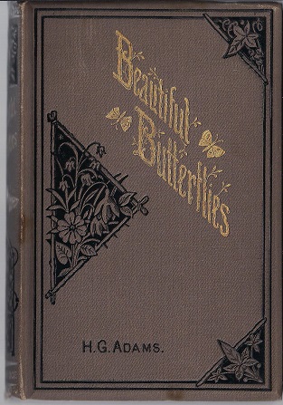 Image for Beautiful Butterflies Described and Illustrated with the History of a Butterfly