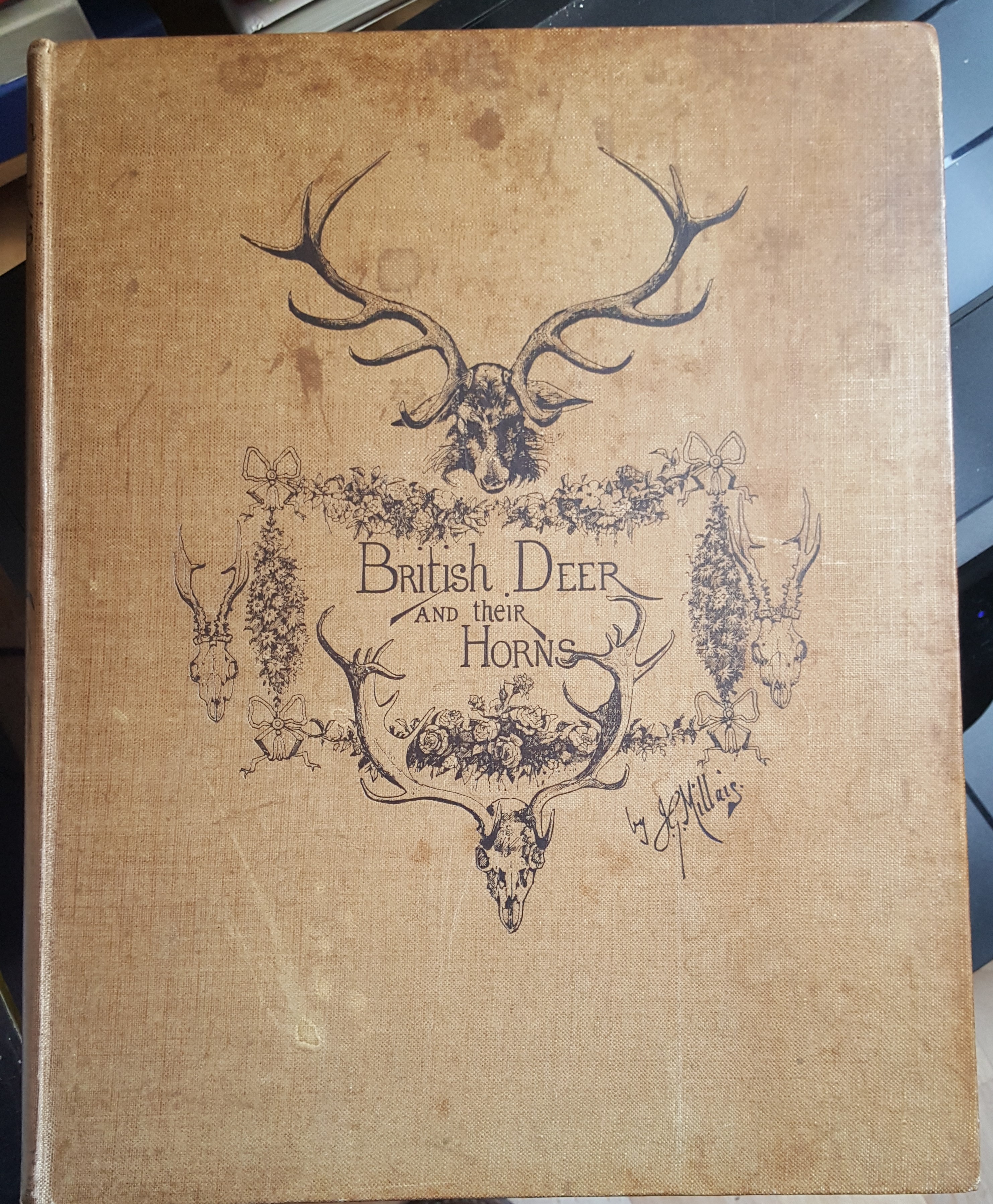Image for British Deer And Their Horns.