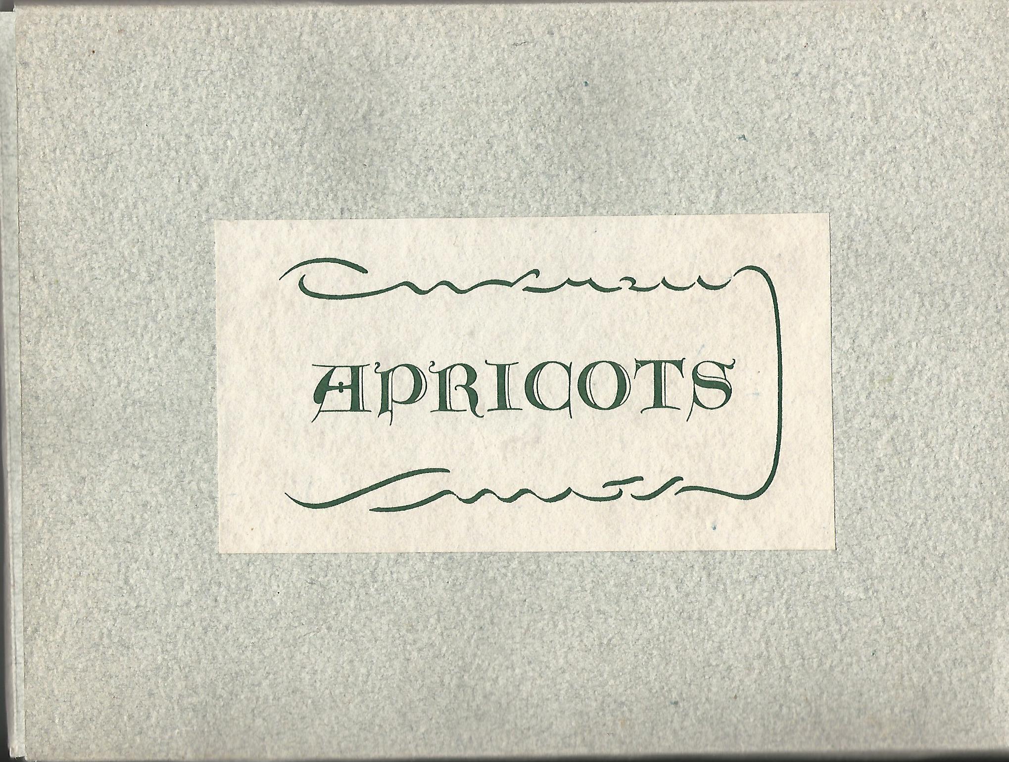 Image for "Apricots" - Handmade Paper.