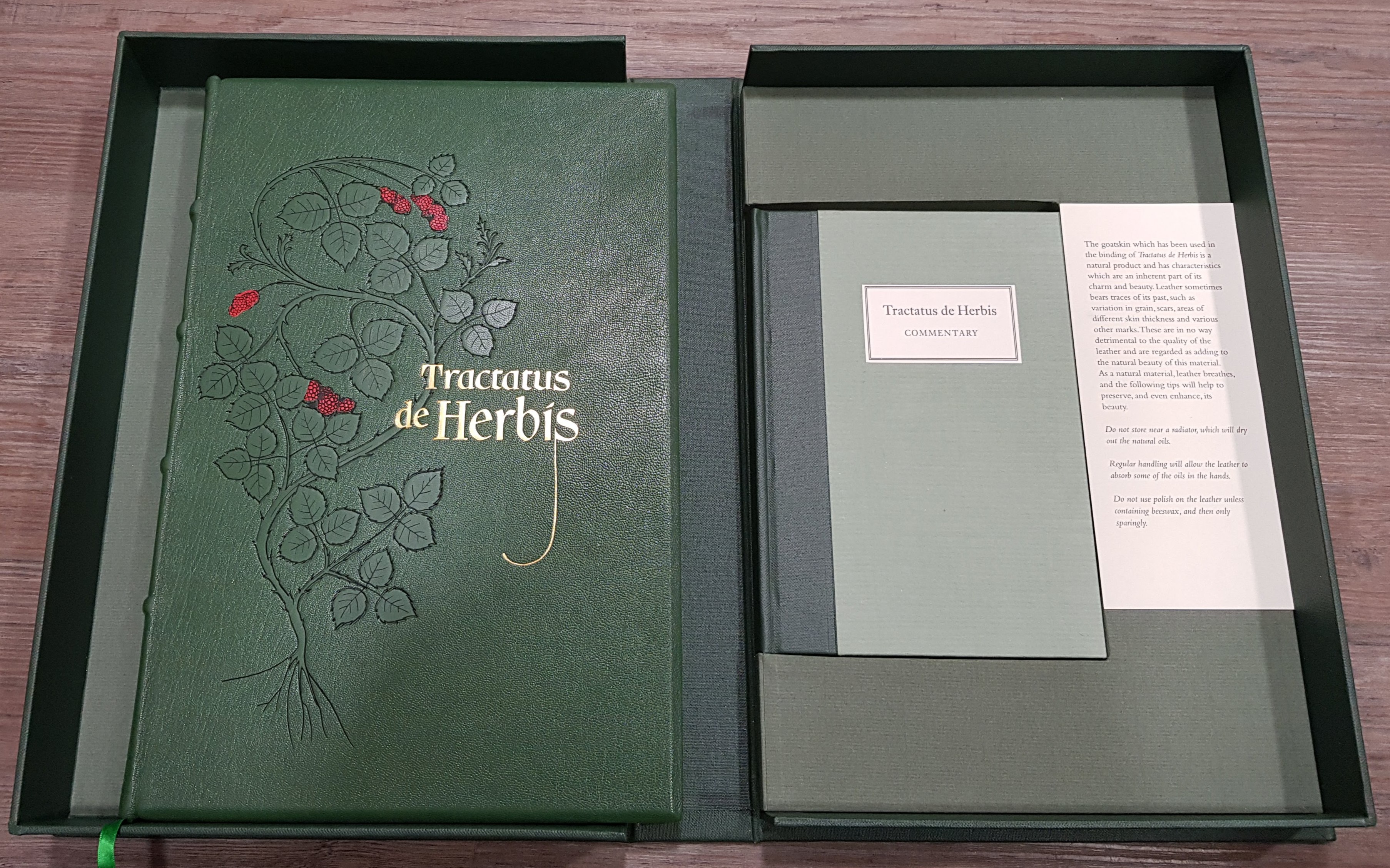 Image for Tractatus de Herbis.