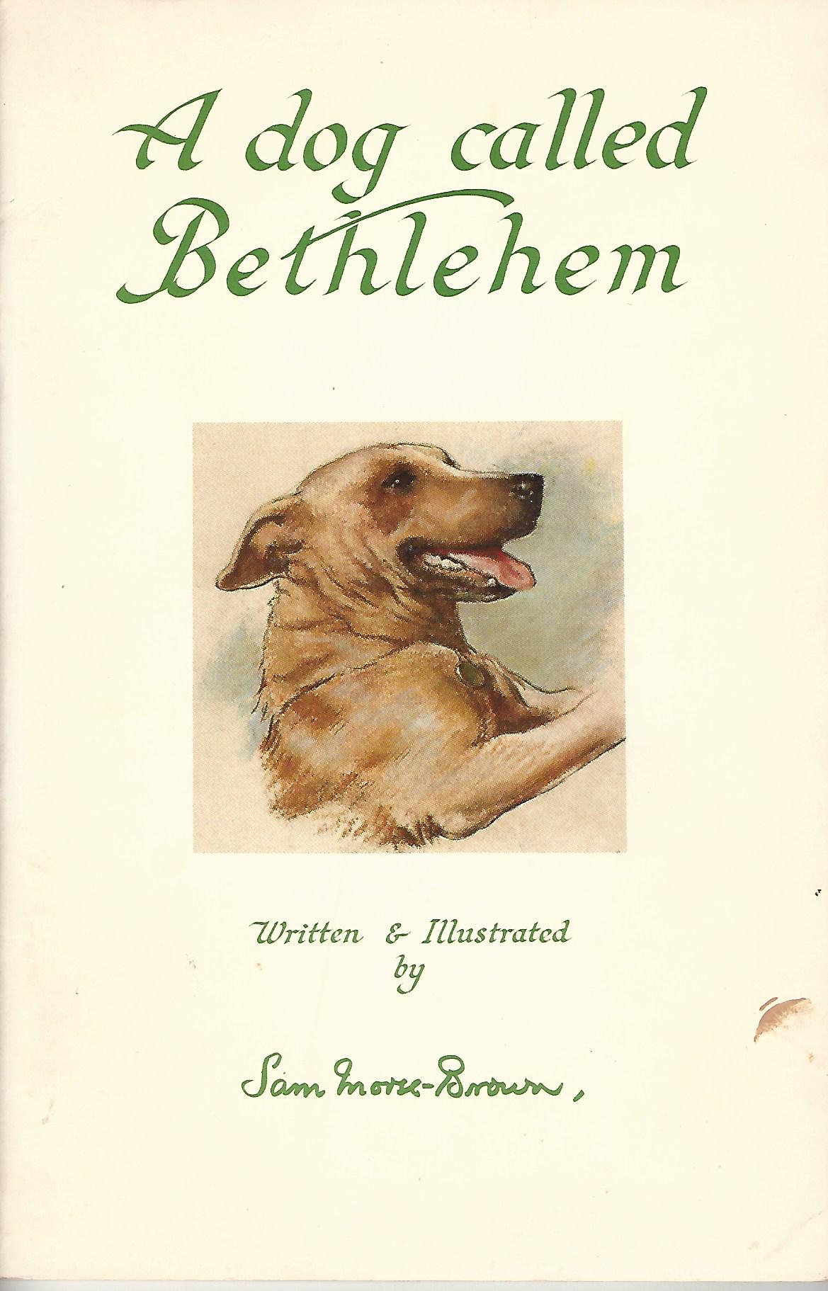 Image for A Dog Called Bethlehem.
