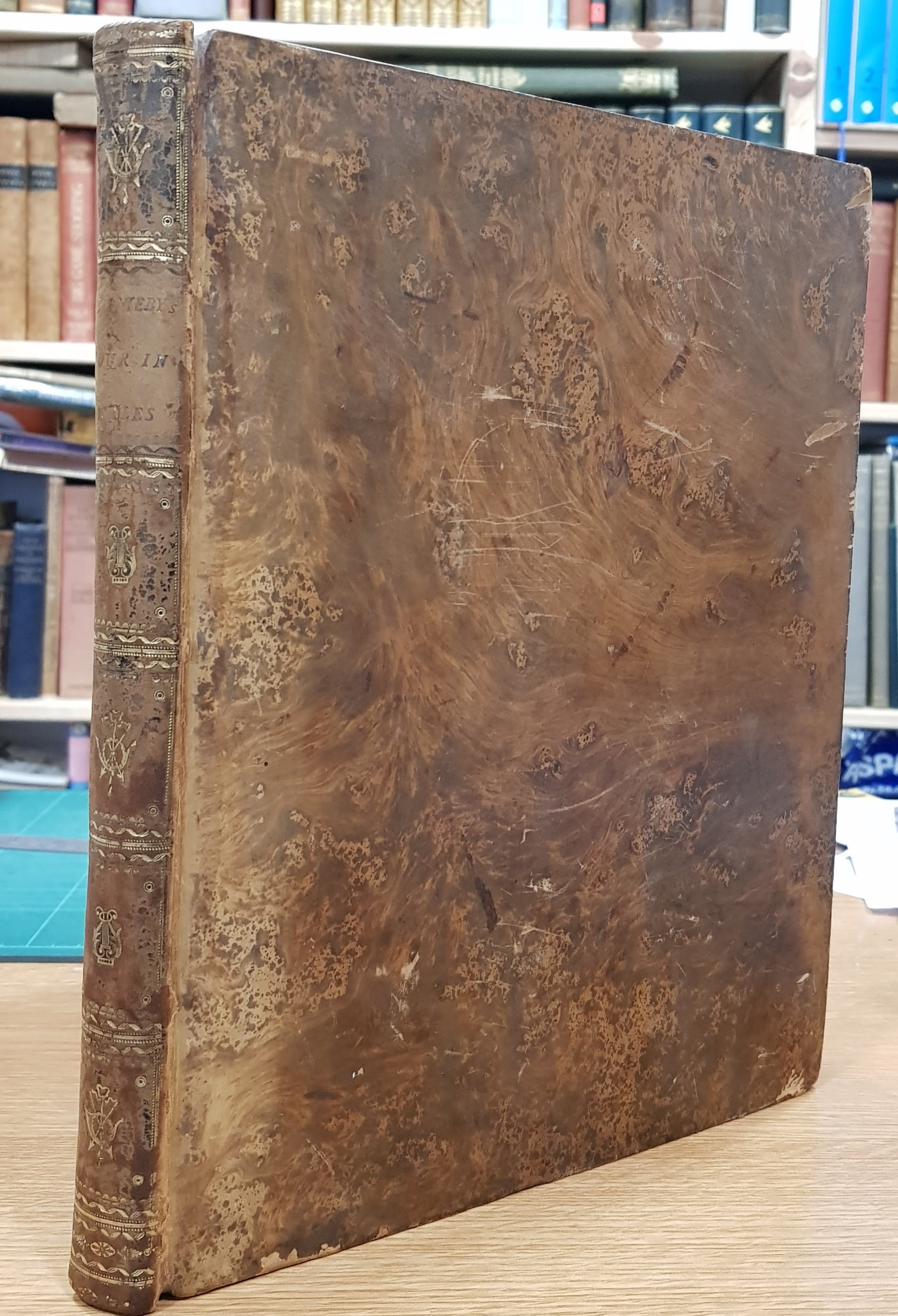 Image for A Tour Through Parts of Wales, Sonnets, Odes, and other Poems with Engravings from Drawings taken on the Spot.