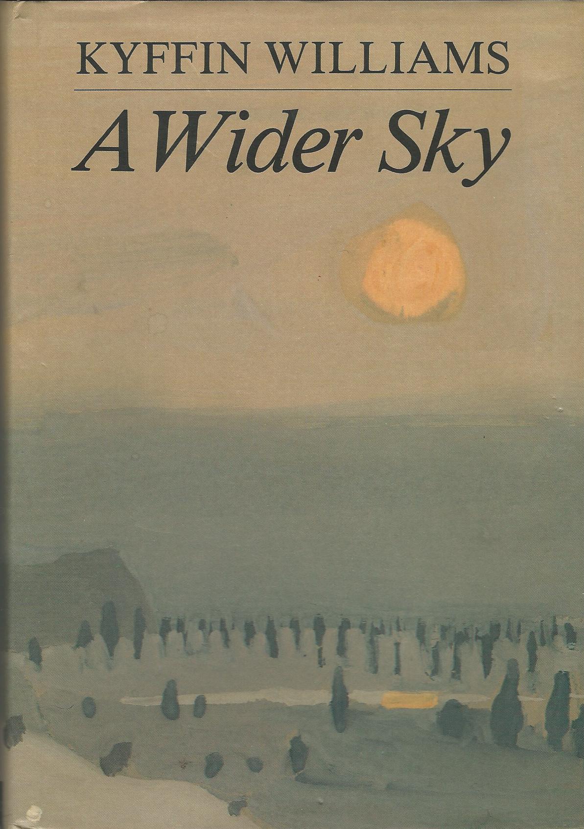 Image for A Wider Sky