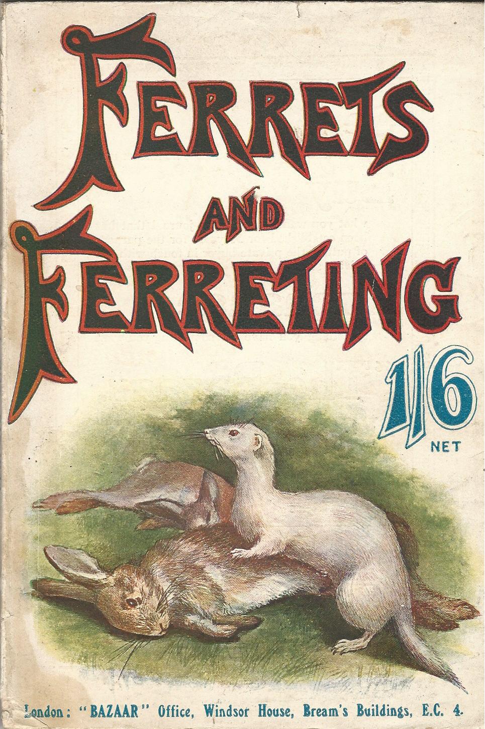 Image for Ferrets & Ferreting: A Practical Manual on the Breeding, Managing, Training and Working of Ferrets.