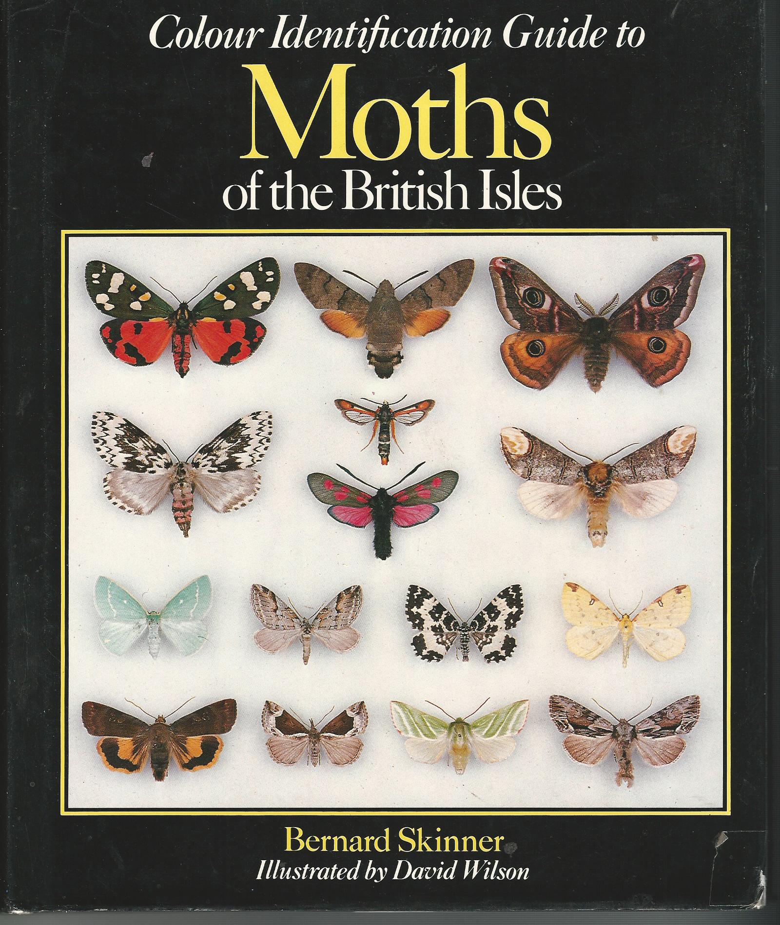 Image for Colour Identification Guide Moths British Isles.