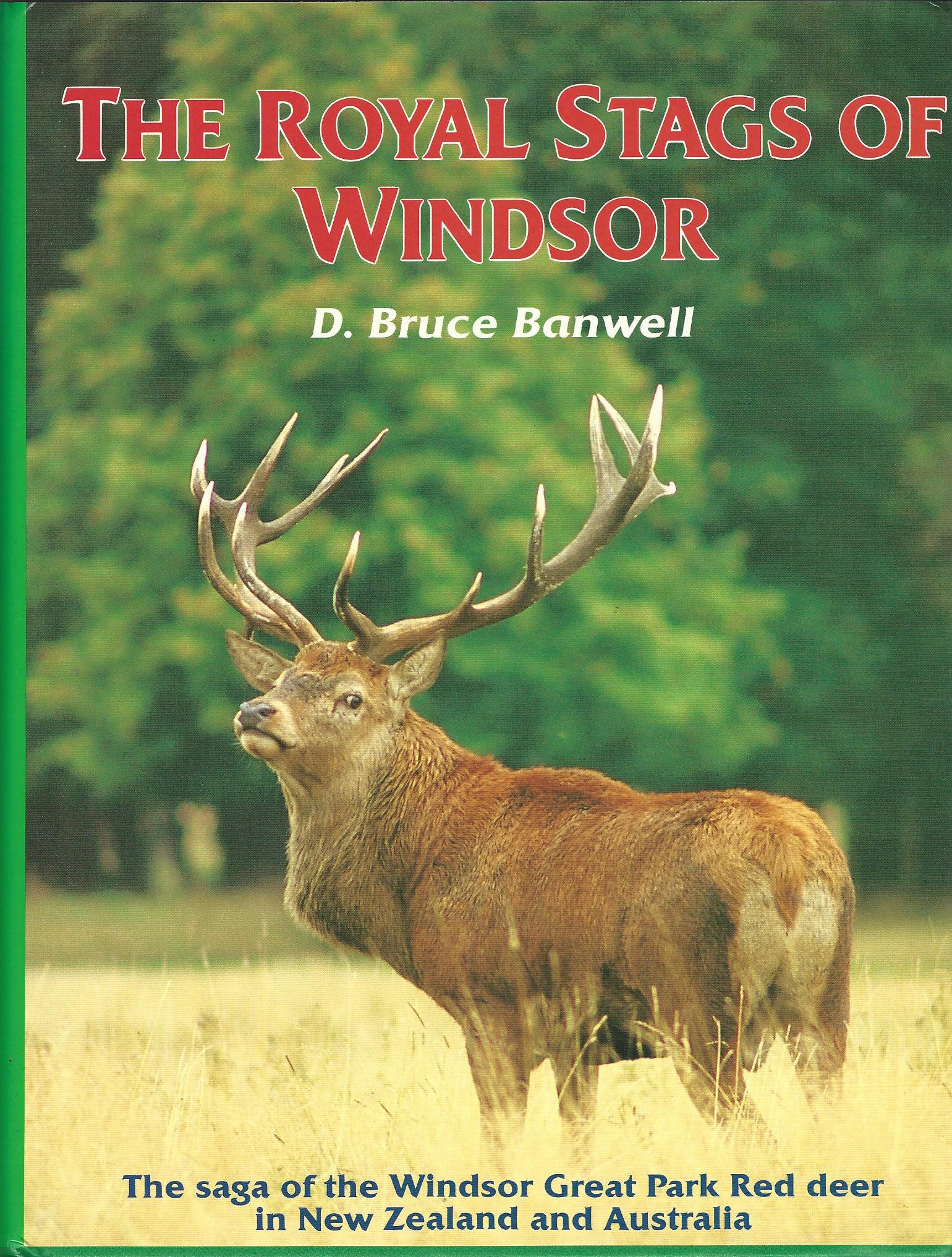 Image for The Royal Stags of Windsor