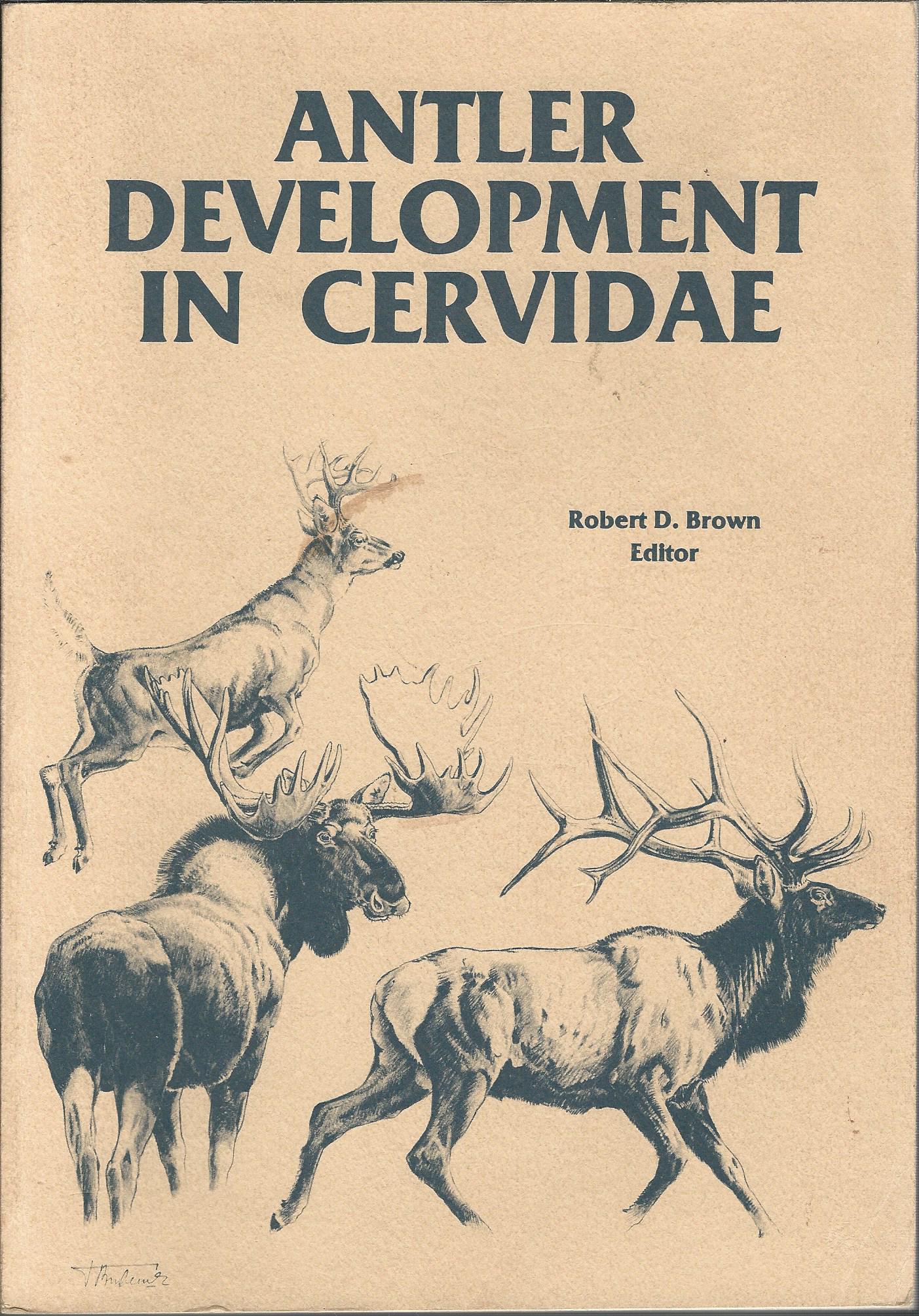 Image for Antler Development in Cervidae.