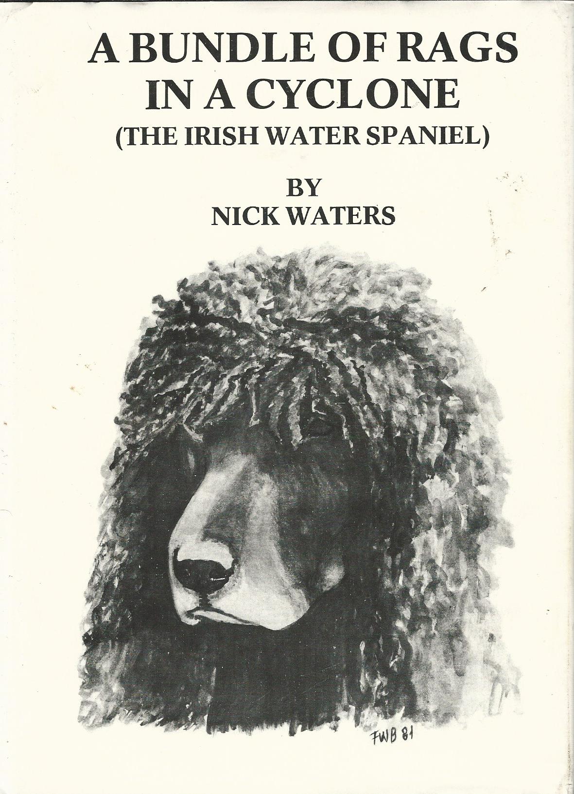 Image for A Bundle of Rags in a Cyclone. (The Irish Water Spaniel)