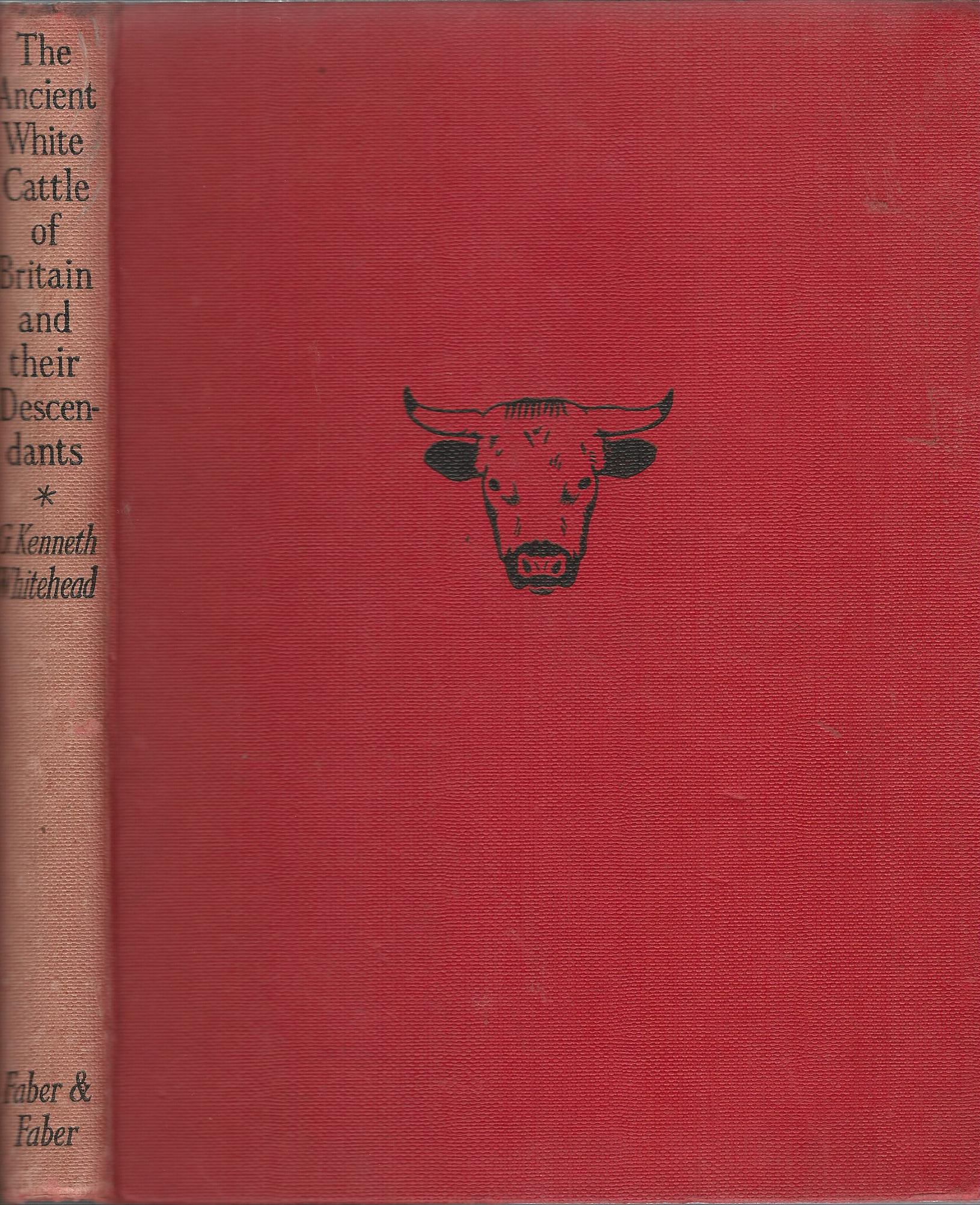 Image for The Ancient White Cattle of Britiain and their Descendants.
