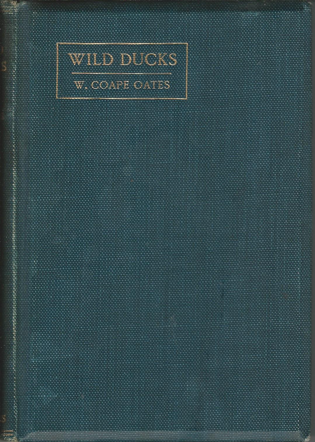 Image for Wild Ducks.