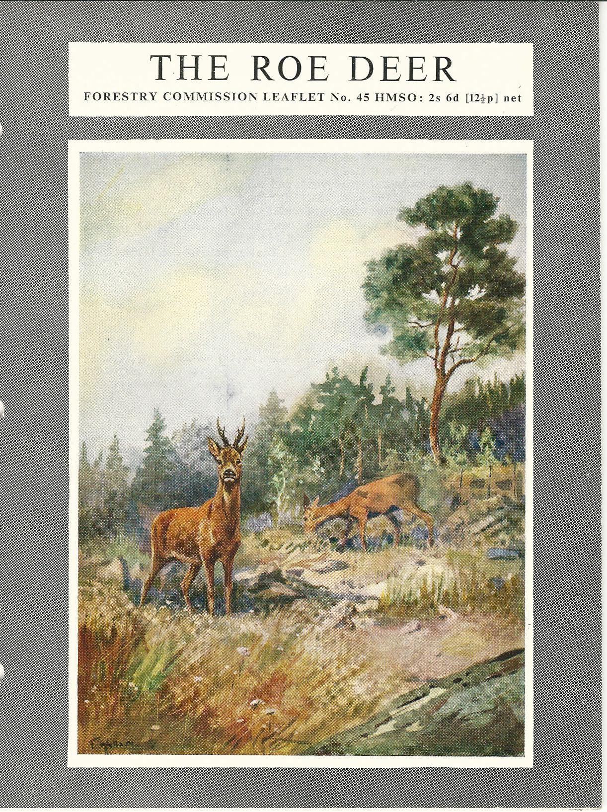 Image for The Roe Deer. Leaflet Nr 45.