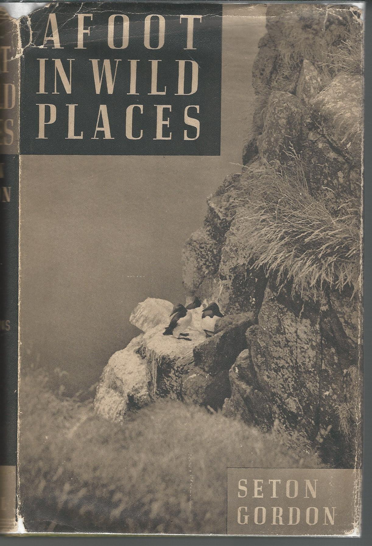 Image for Afoot in Wild Places.