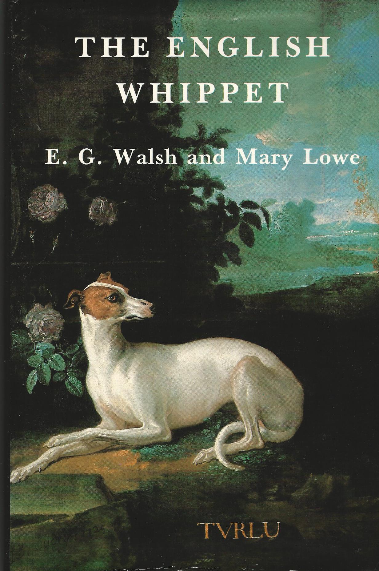 Image for English Whippet