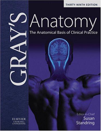 Image for Gray's Anatomy: The Anatomical Basis of Clinical Practice