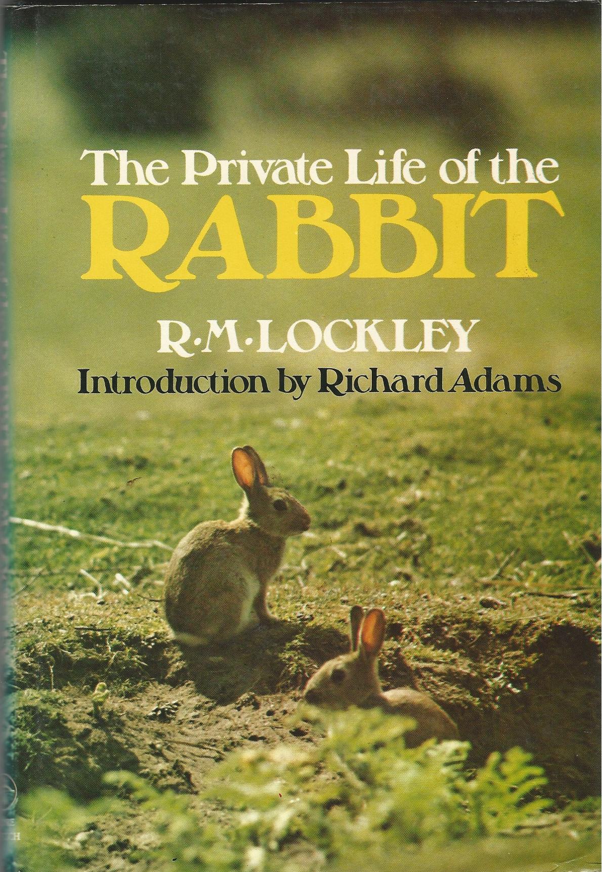 Image for The Private Life of the Rabbit: An Account of the Life History and Social Behaviour of the Wild Rabbit