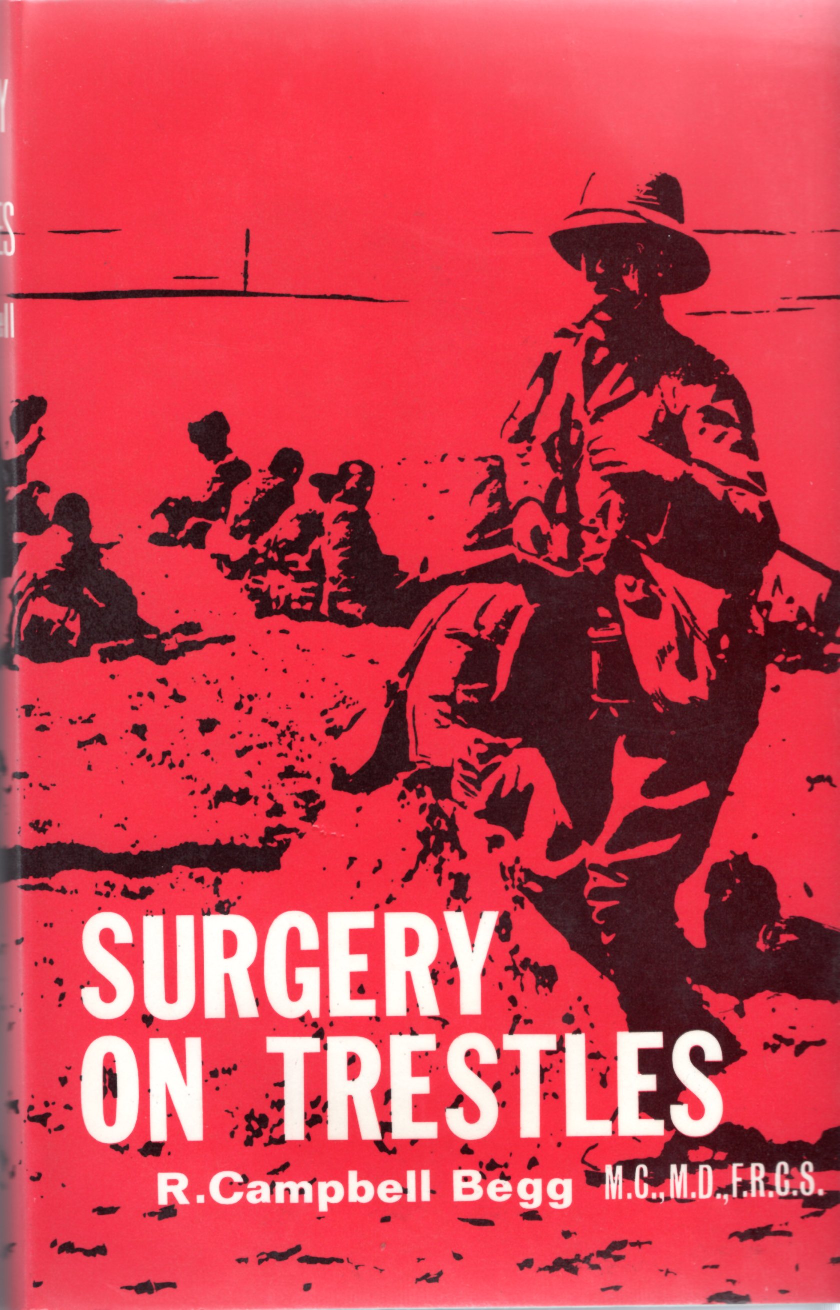Image for Surgery on Trestles: A Saga of Suffering and Triumph