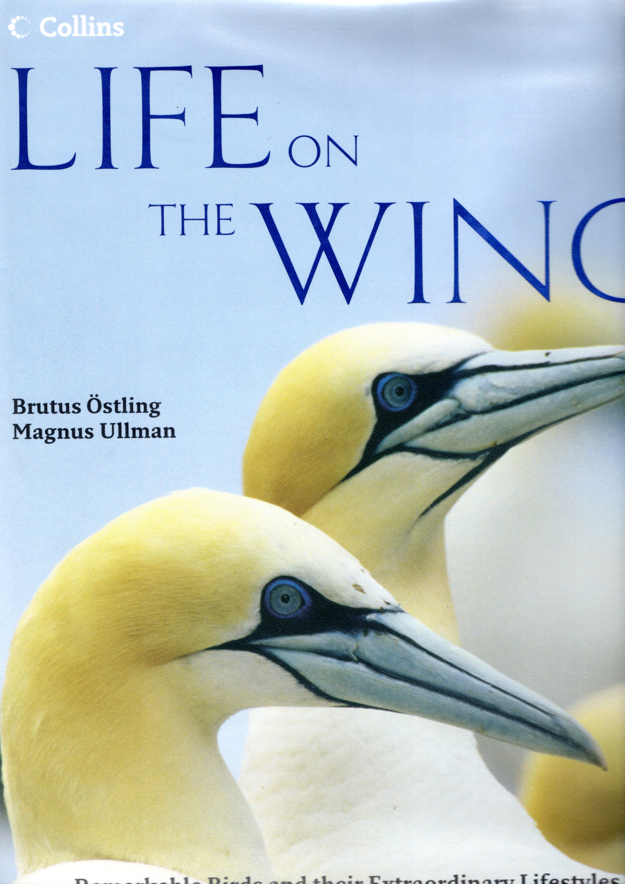 Image for Life on the Wing: Remarkable Birds and their Extraordinary Lives