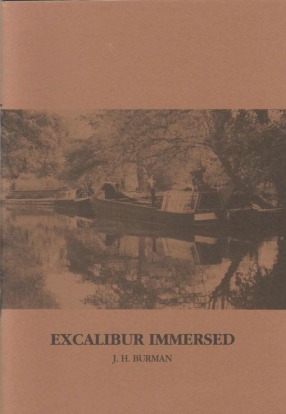 Image for Excalibur Immersed