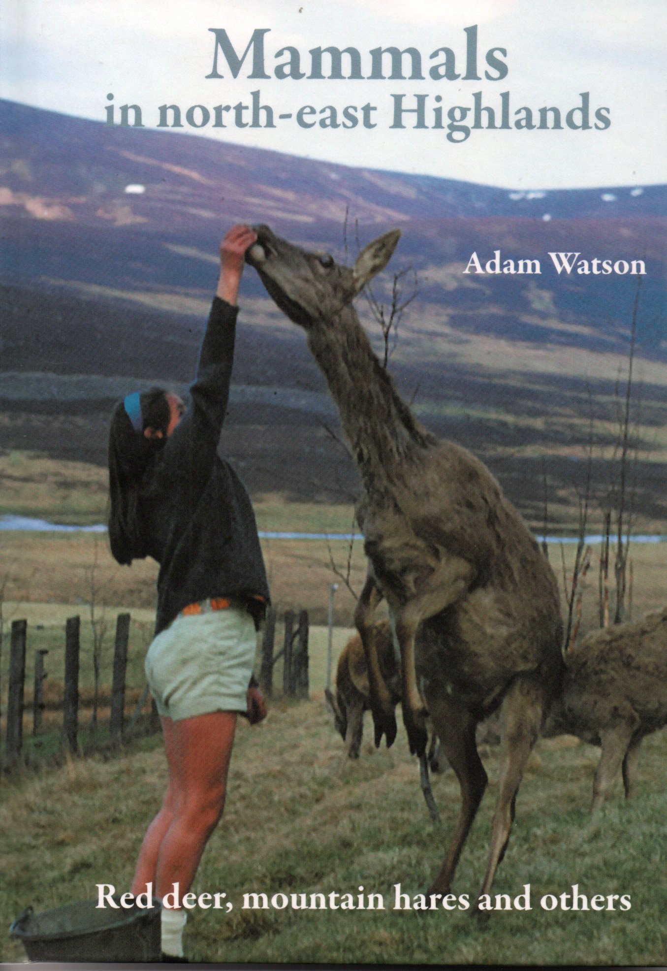 Image for Mammals in north-east highlands: Red deer, mountain hares and others.