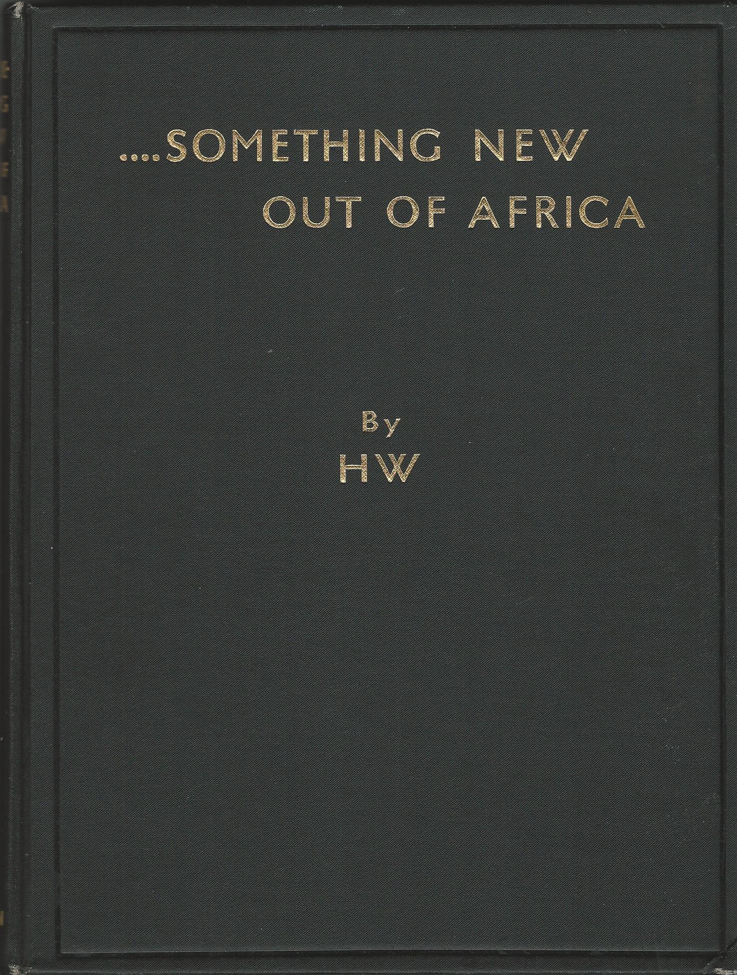Image for Something New Out of Africa