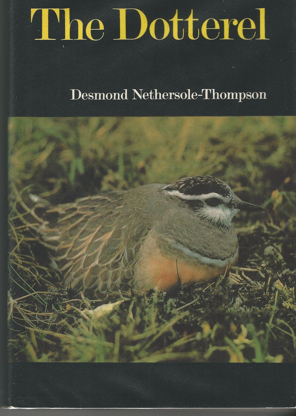 Image for The Dotterel.