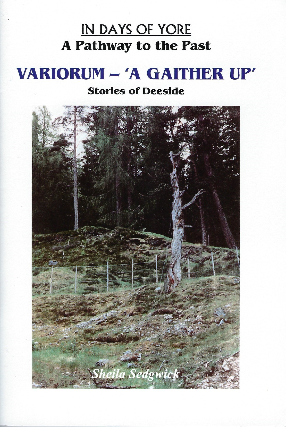 Image for Variorum - A Gaither Up.