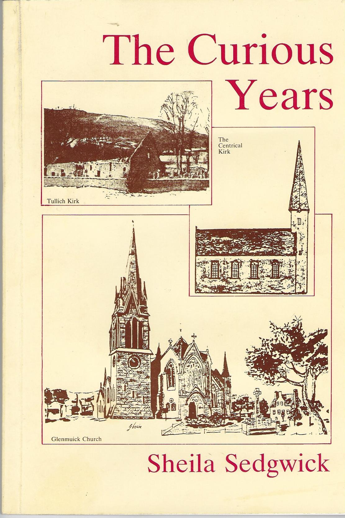 Image for The Curious Years.