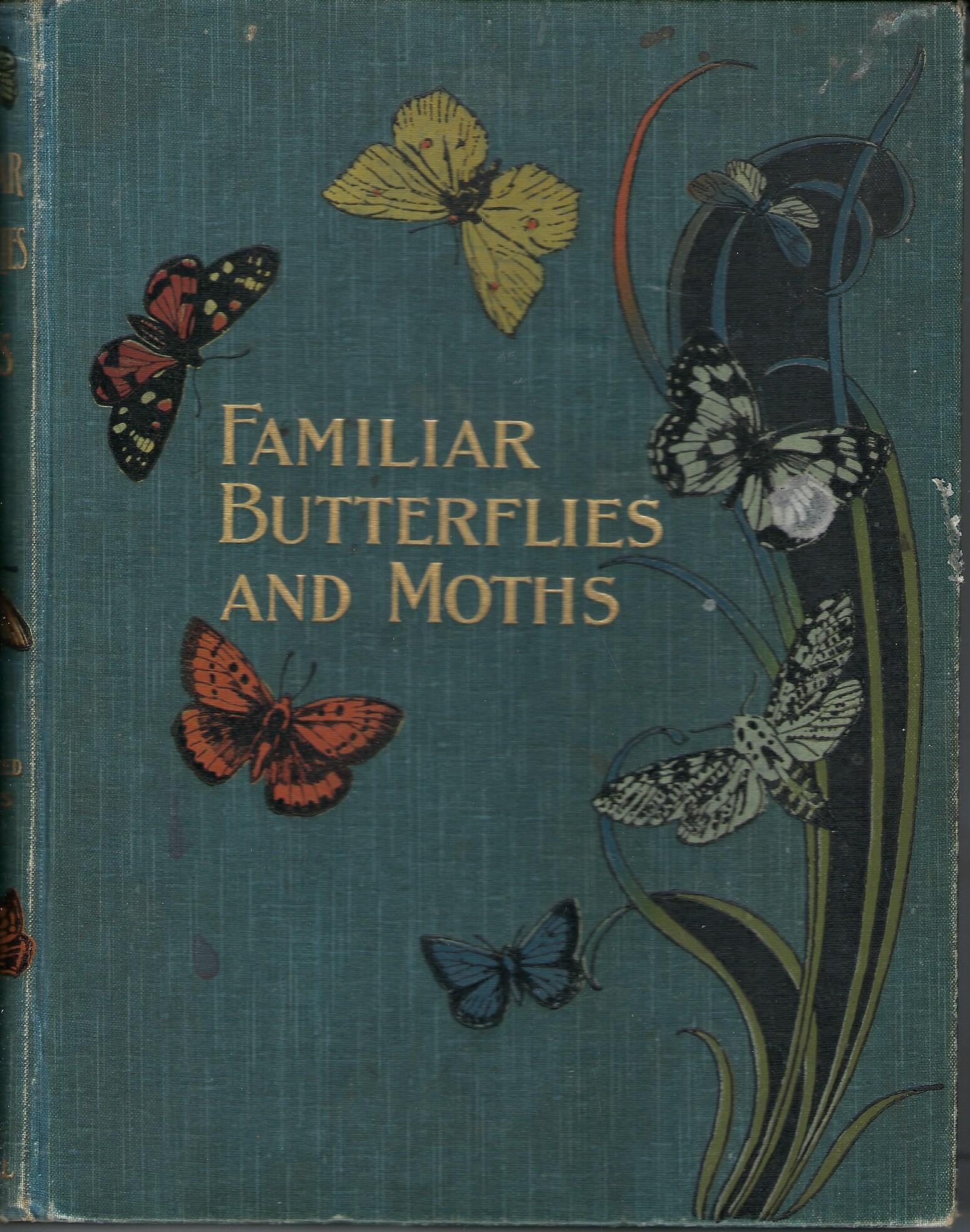 Familiar Butterflies and Moths