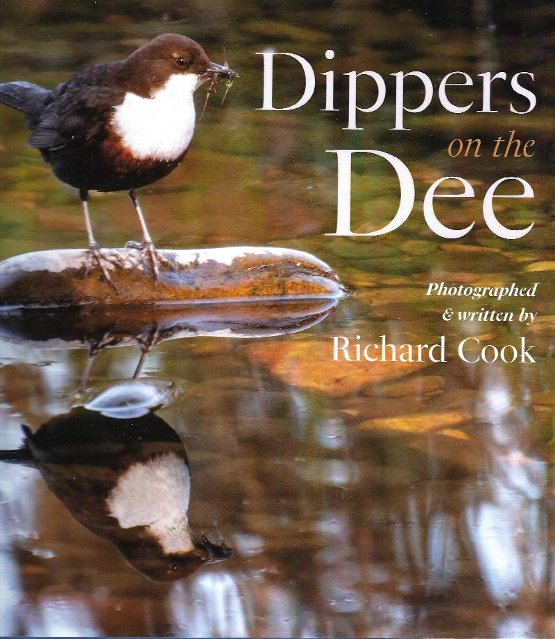 Image for Dippers in the Dee