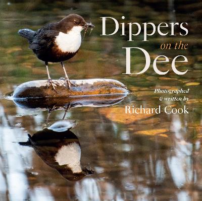 Image for Dippers on the Dee