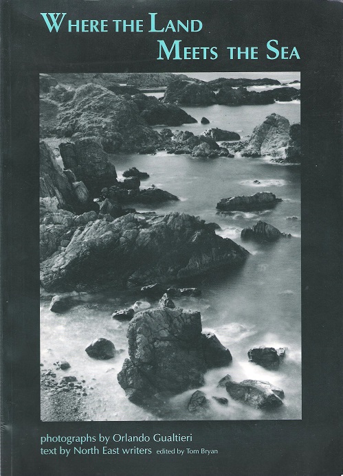 Image for Where the Land Meets the Sea.