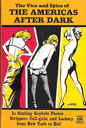 Image for The Vice and Spice of The Americas After Dark.