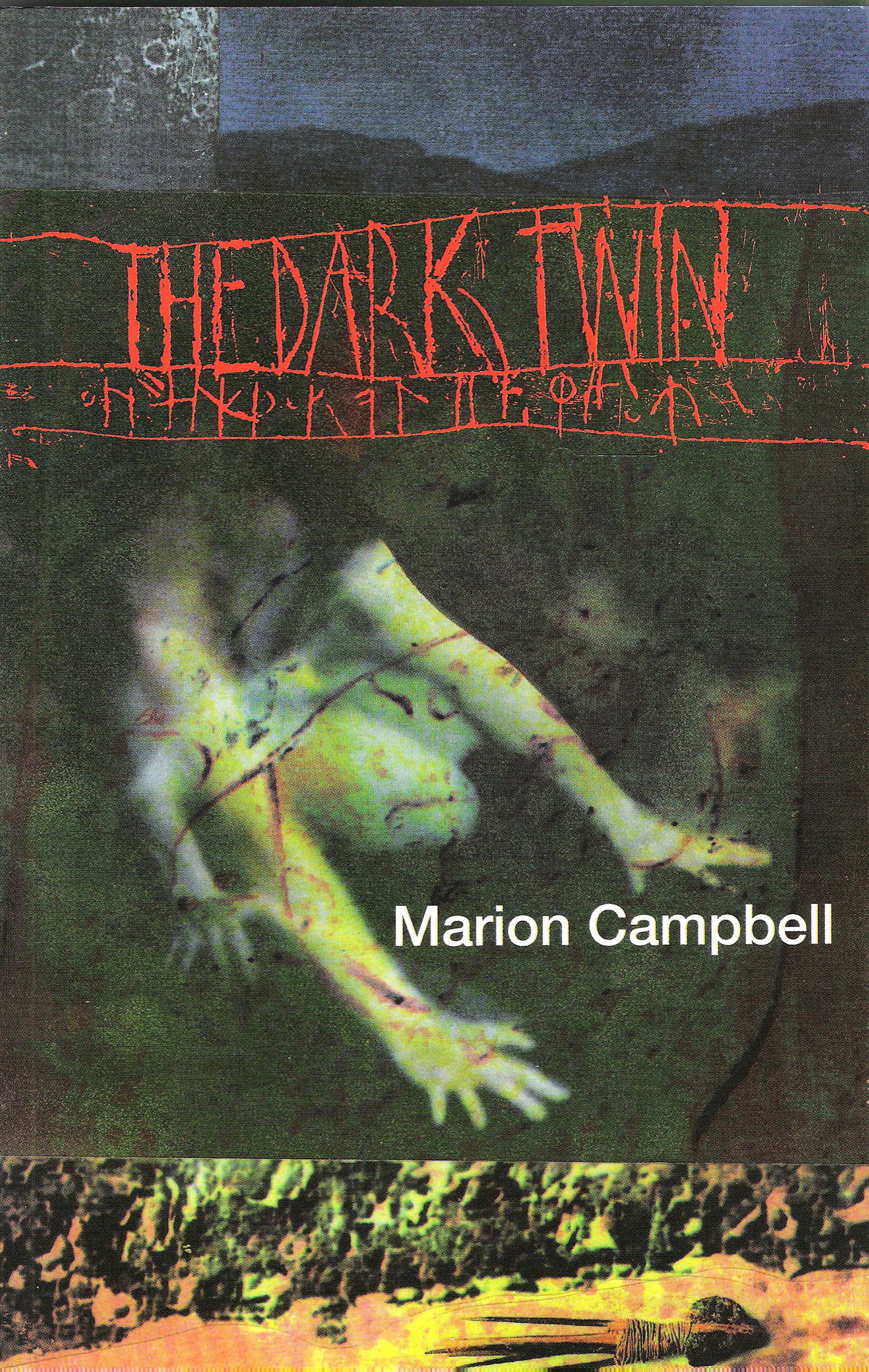 Image for The Dark Twin.